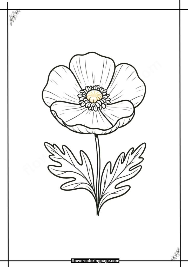 Matilija Poppy Coloring Pages