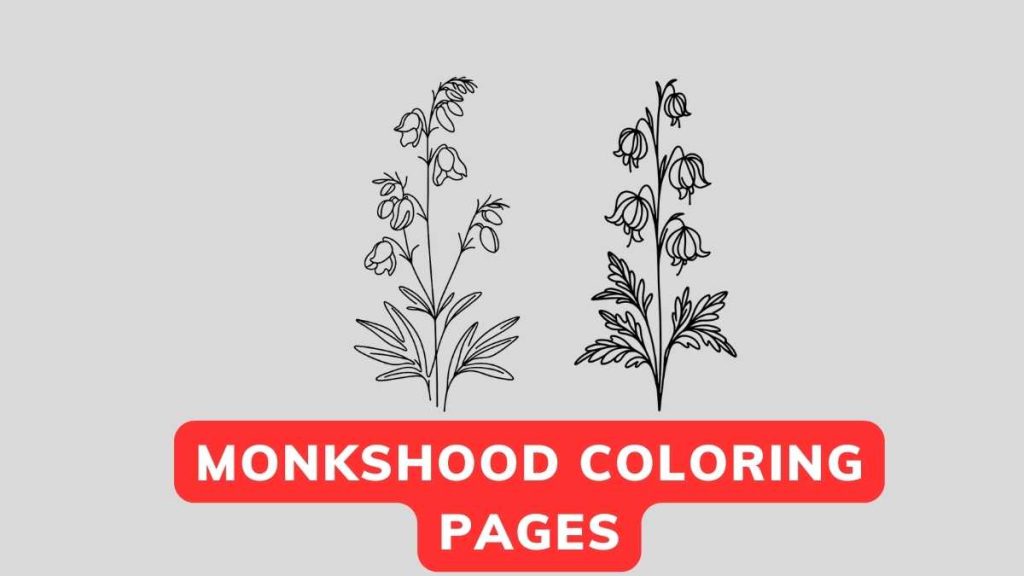 Printable Monkshood Coloring Pages Free PDF Flower Coloring Page