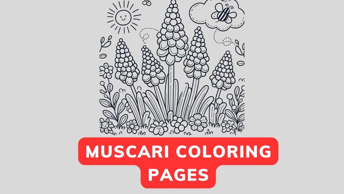 Muscari coloring page