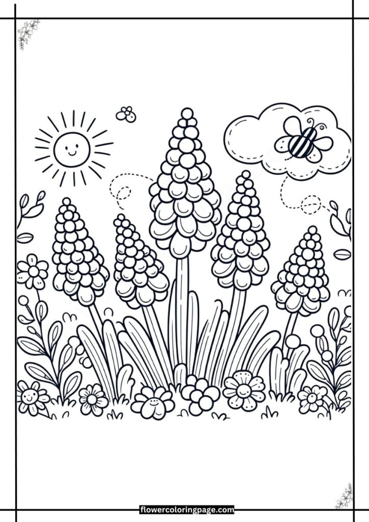 Muscari coloring pages