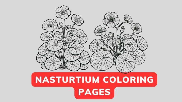 Nasturtium Coloring Pages