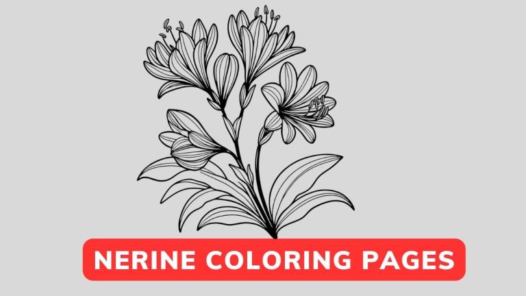 Nerine Coloring Page