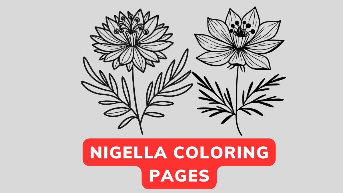 Nigella Coloring Page