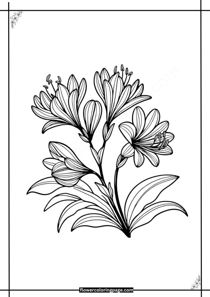 Nigella Coloring Pages