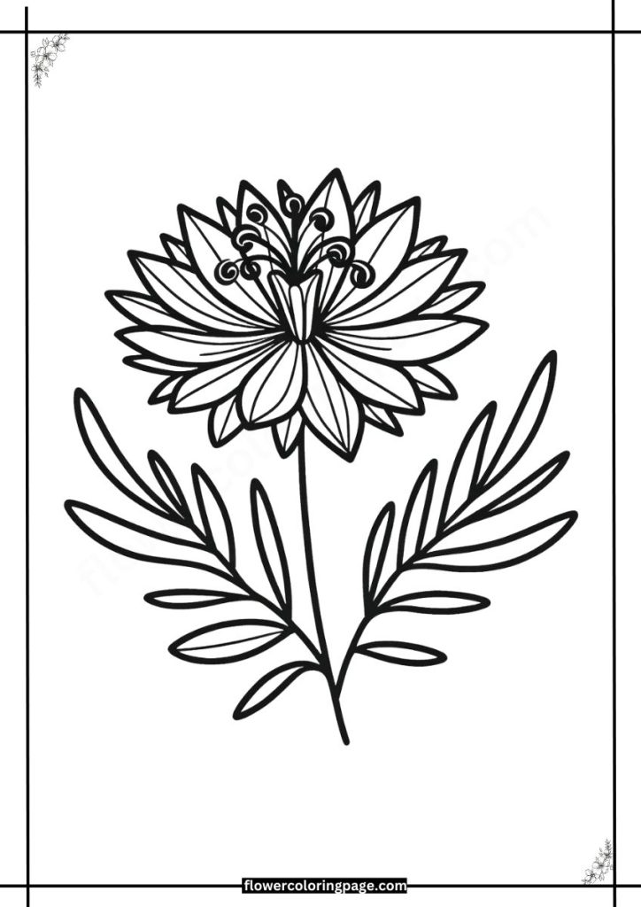 Nigella Coloring Pages