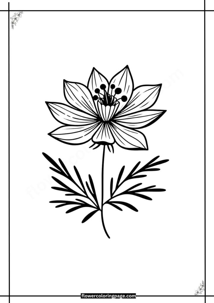 Nigella Coloring Pages pdf