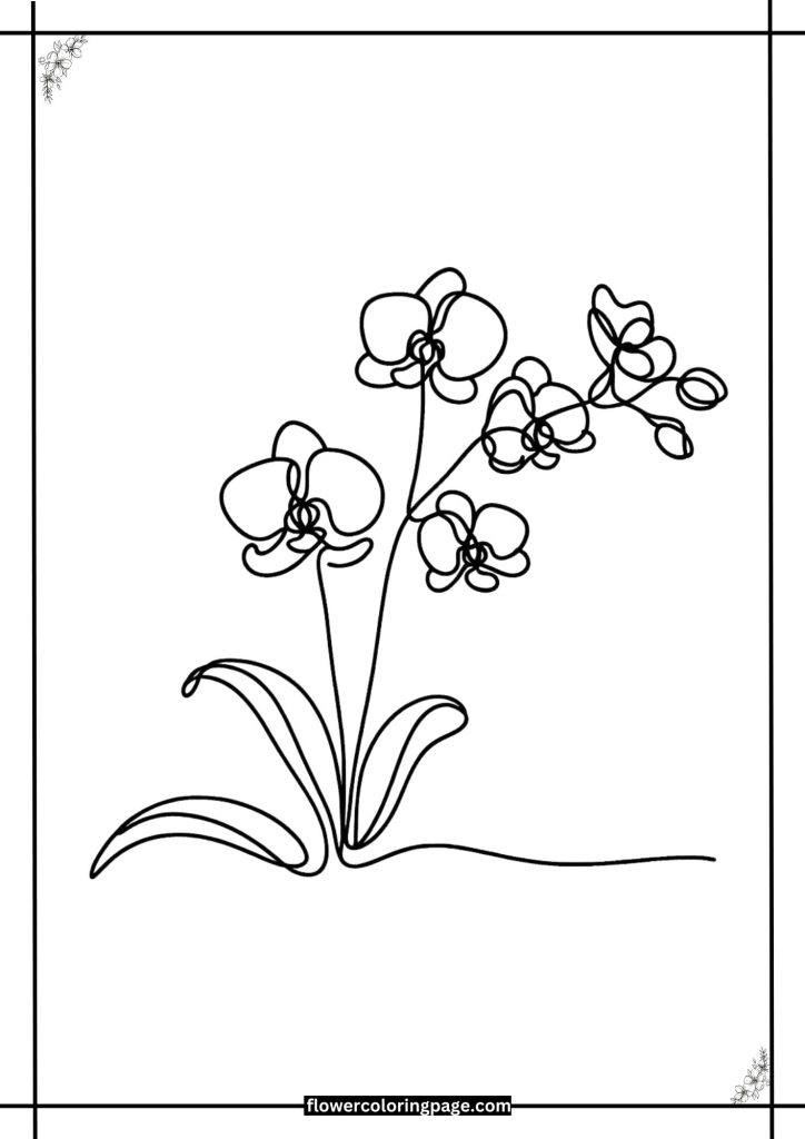 Orchid coloring page