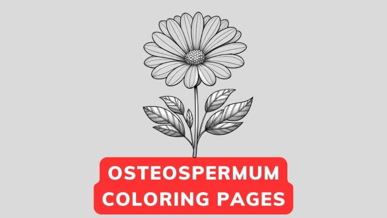 Osteospermum Coloring Page