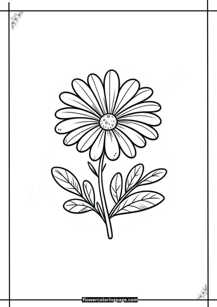 Osteospermum Coloring Pages