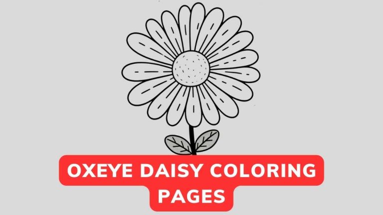 Oxeye Daisy Coloring Page