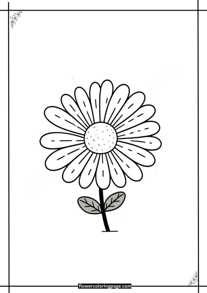 Oxeye Daisy Coloring Pages