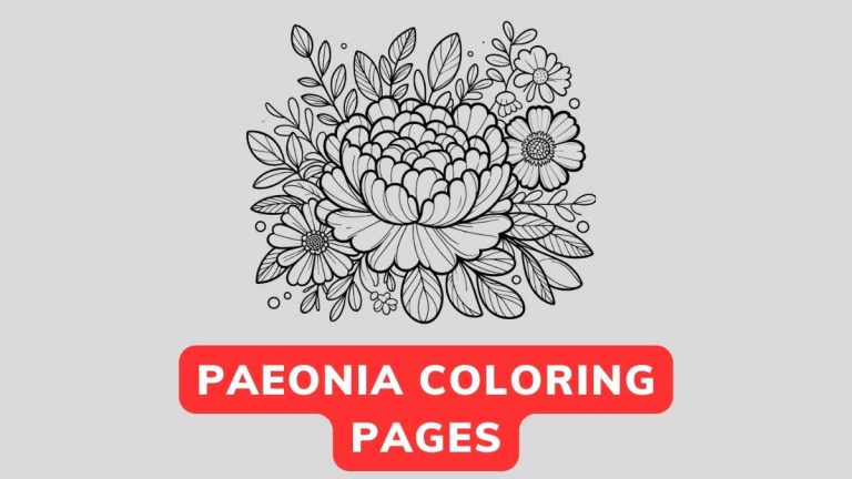 Free Paeonia Coloring Page