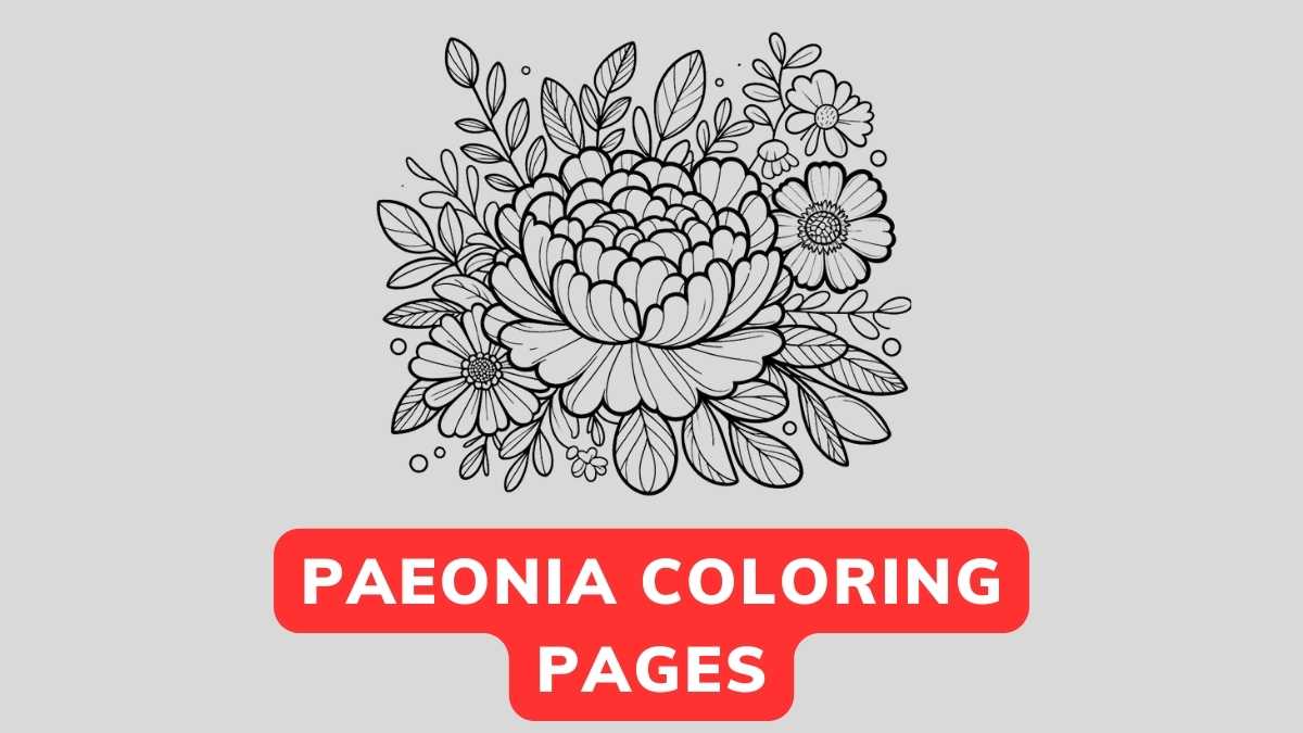 Free Paeonia Coloring Page