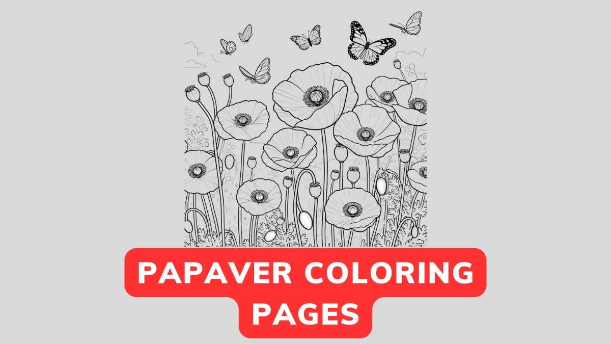 Papaver Coloring Page