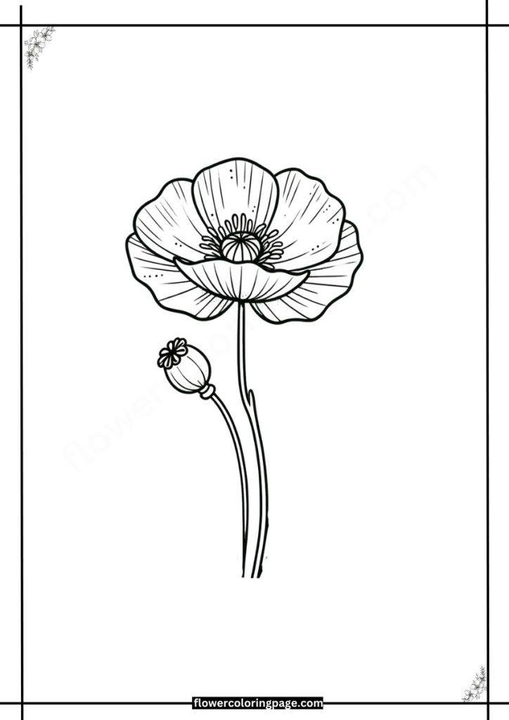 Papaver Coloring Pages