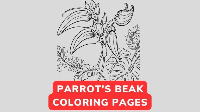 Parrot's Beak Coloring Page