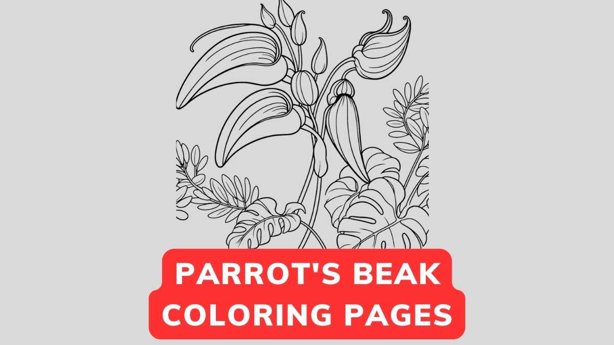 Parrot's Beak Coloring Page