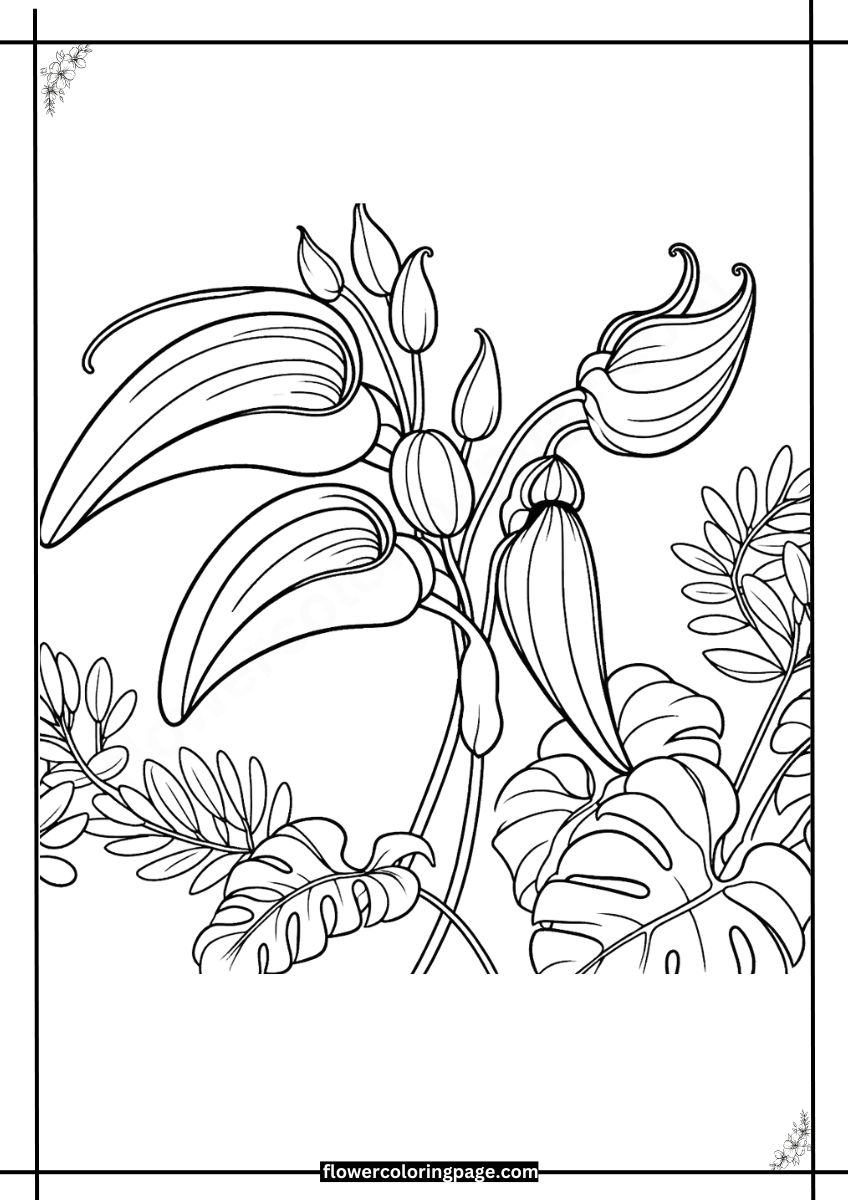 Free Parrot's Beak Coloring Pages Printable PDF - Flower Coloring Page