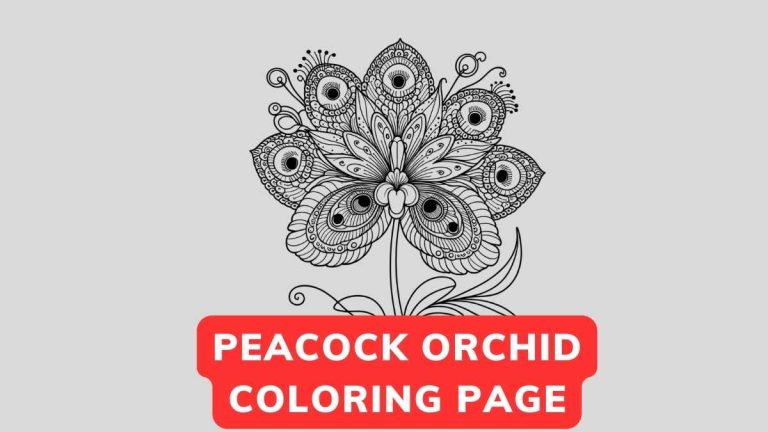 Peacock Orchid coloring pag
