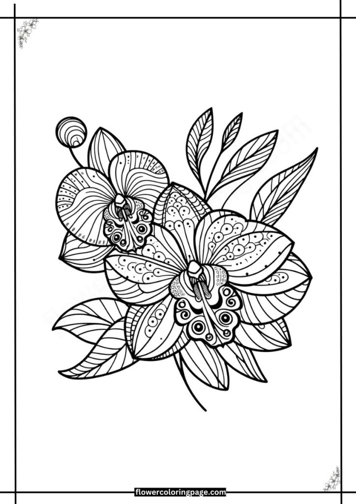 Peacock Orchid coloring page