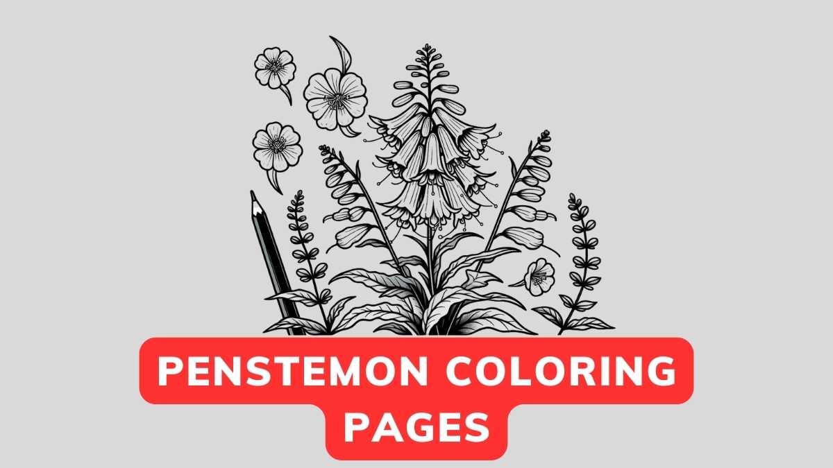 Penstemon Coloring Page