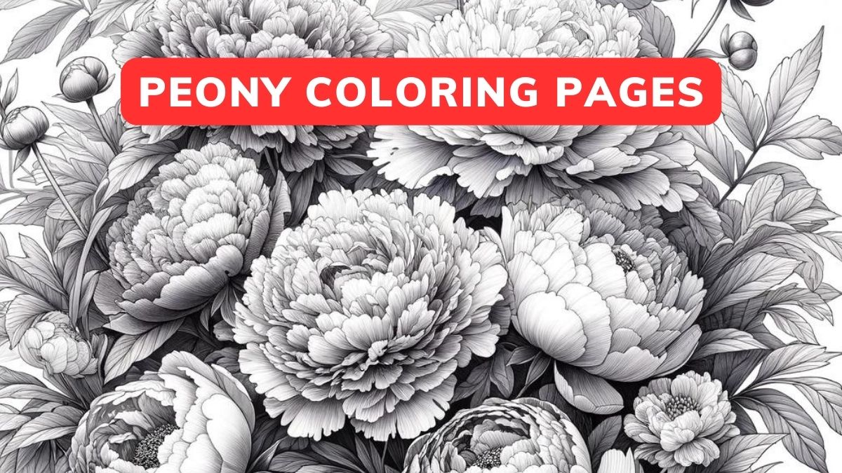 Peony Coloring Pages