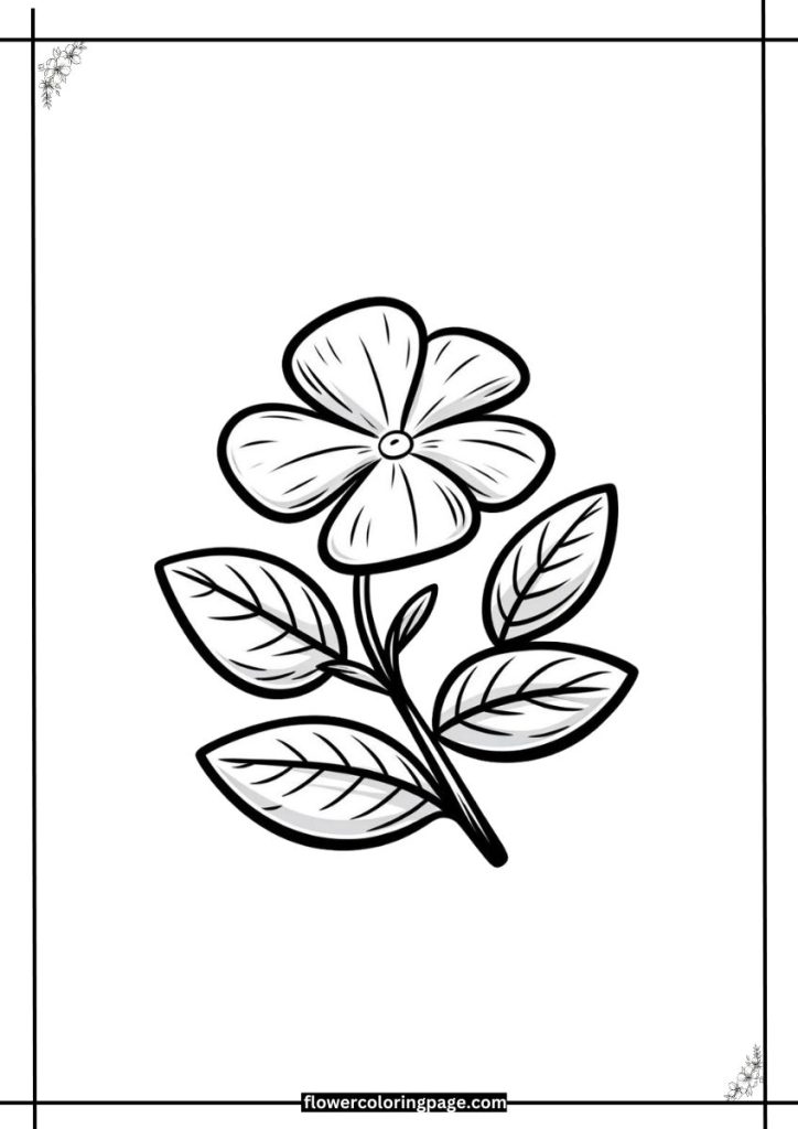 Periwinkle Flower Coloring Page