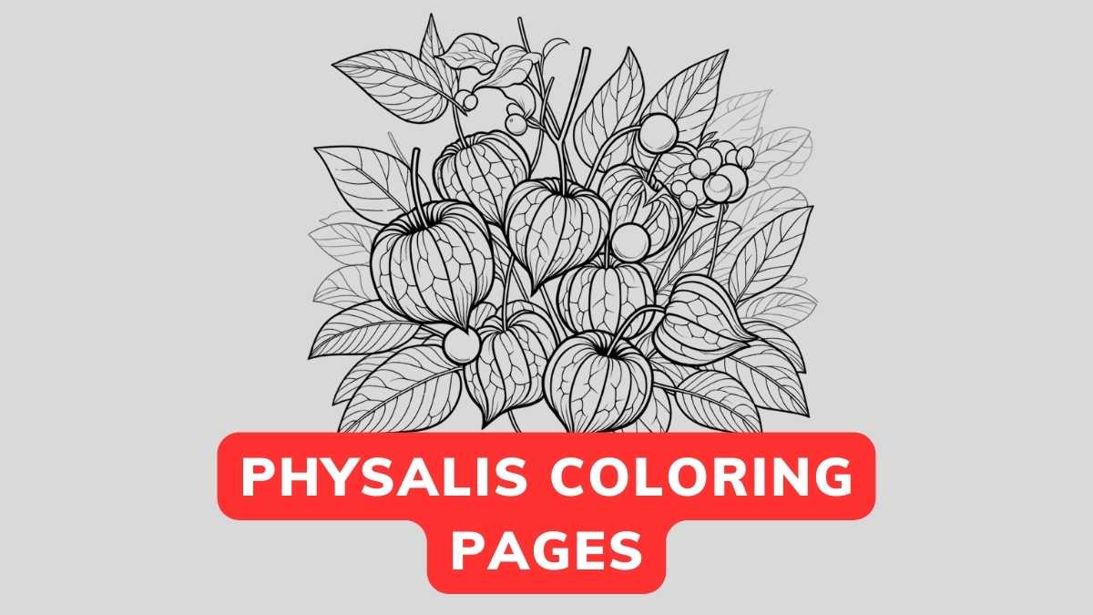 Physalis Coloring Page