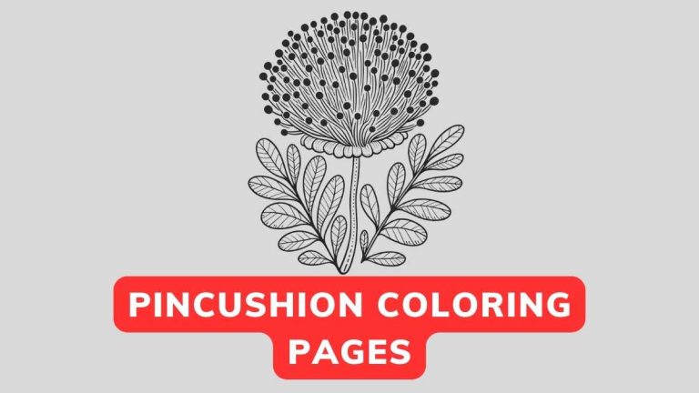 Pincushion Coloring Page