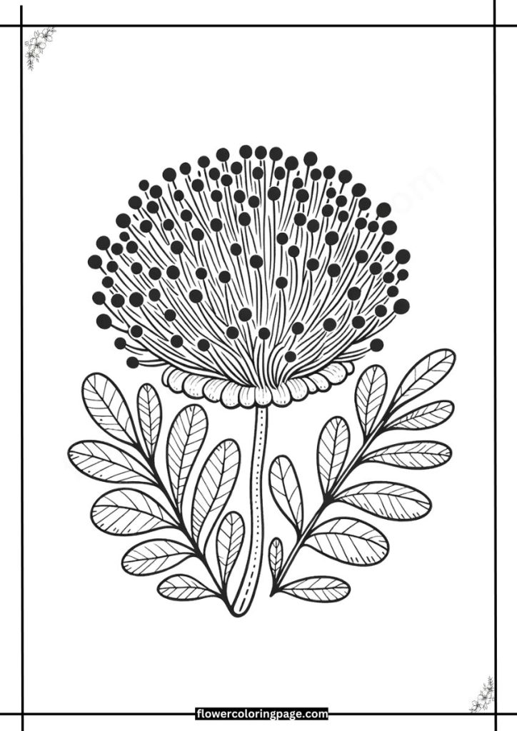 Pincushion Coloring Pages