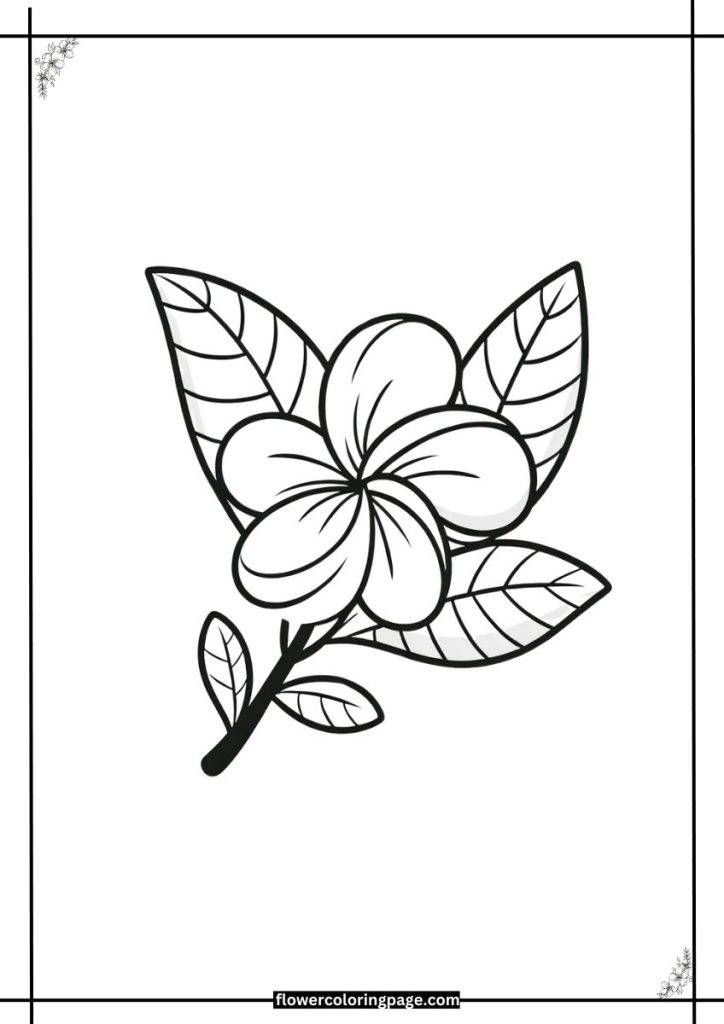 Plumeria Coloring Pages