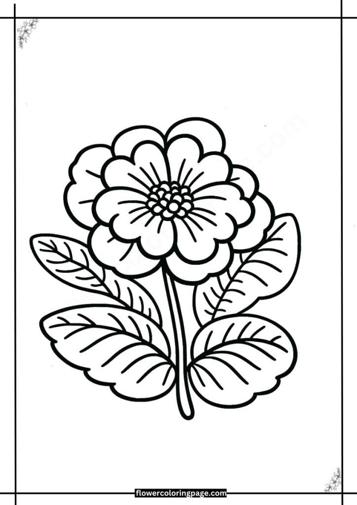 Polyanthus Coloring Pages