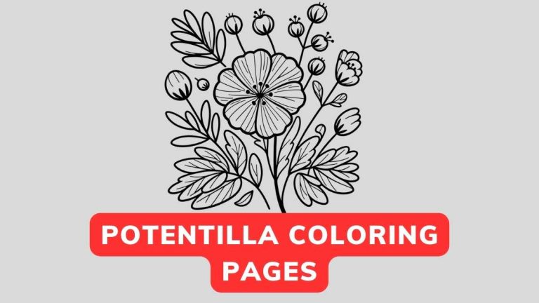 Potentilla Coloring Pages