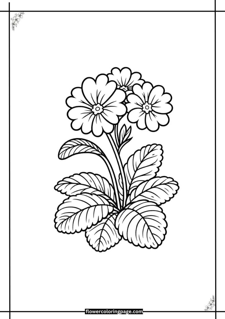 Primrose Coloring Pages