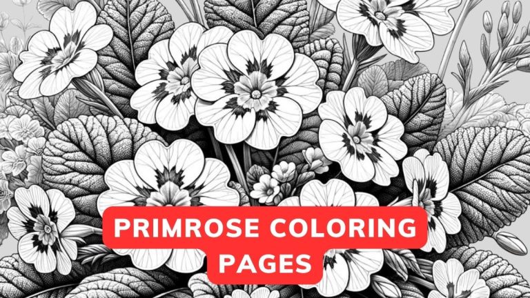 Primrose Coloring Pages