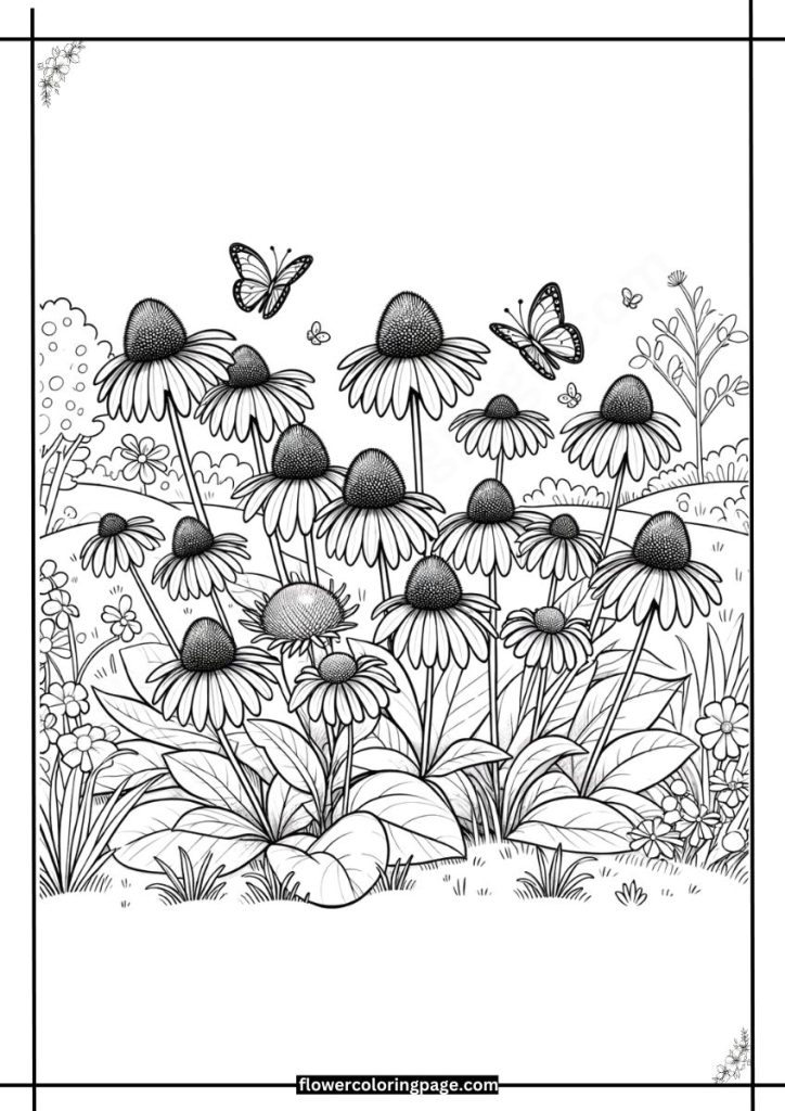 Printable Echinacea Coloring Pages