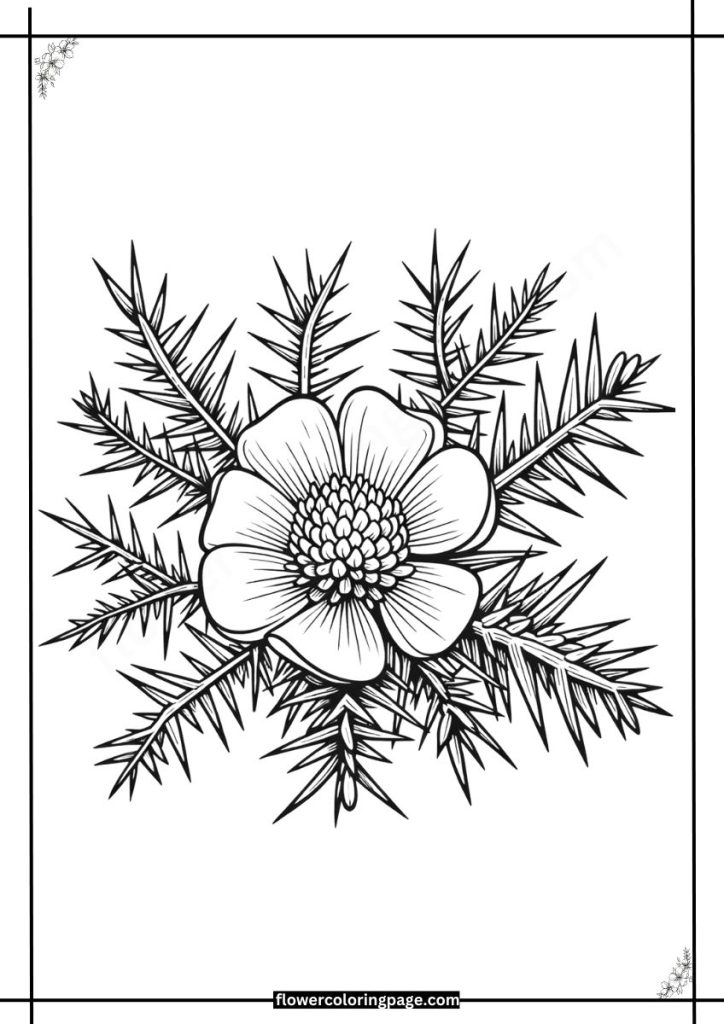 Printable Gorse Coloring Pages