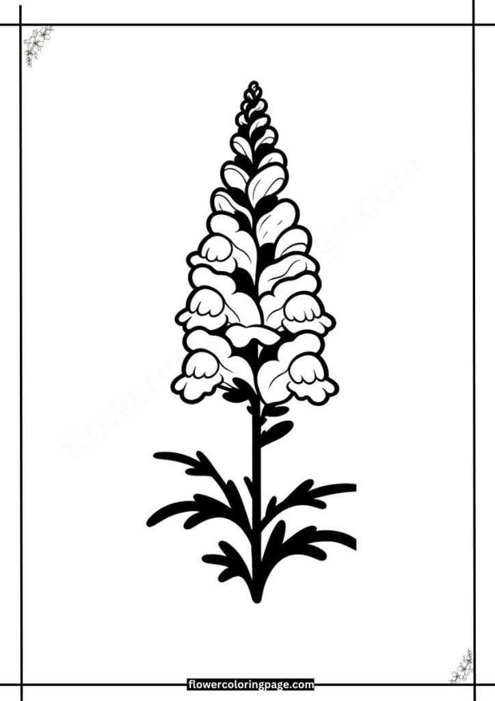 Printable Snapdragon Coloring Pages