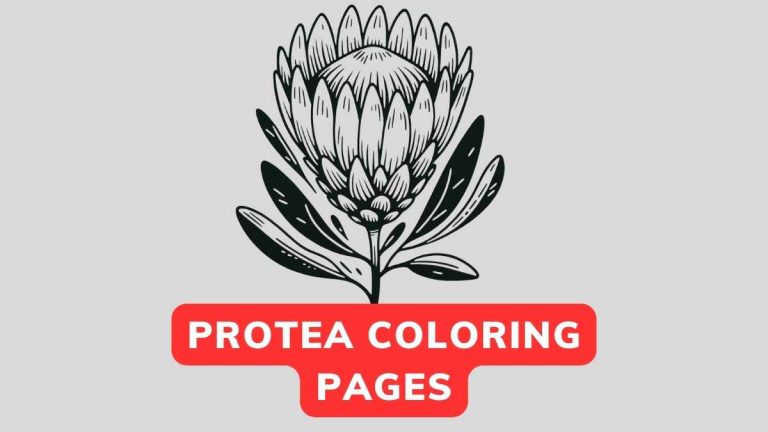 Protea Coloring Page