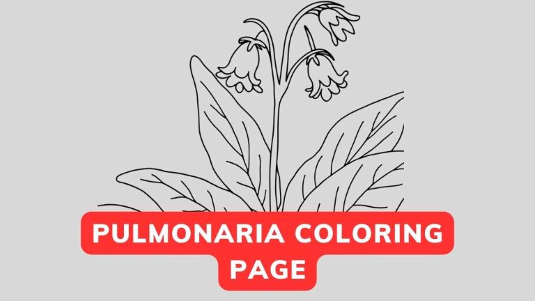 Pulmonaria Coloring Page