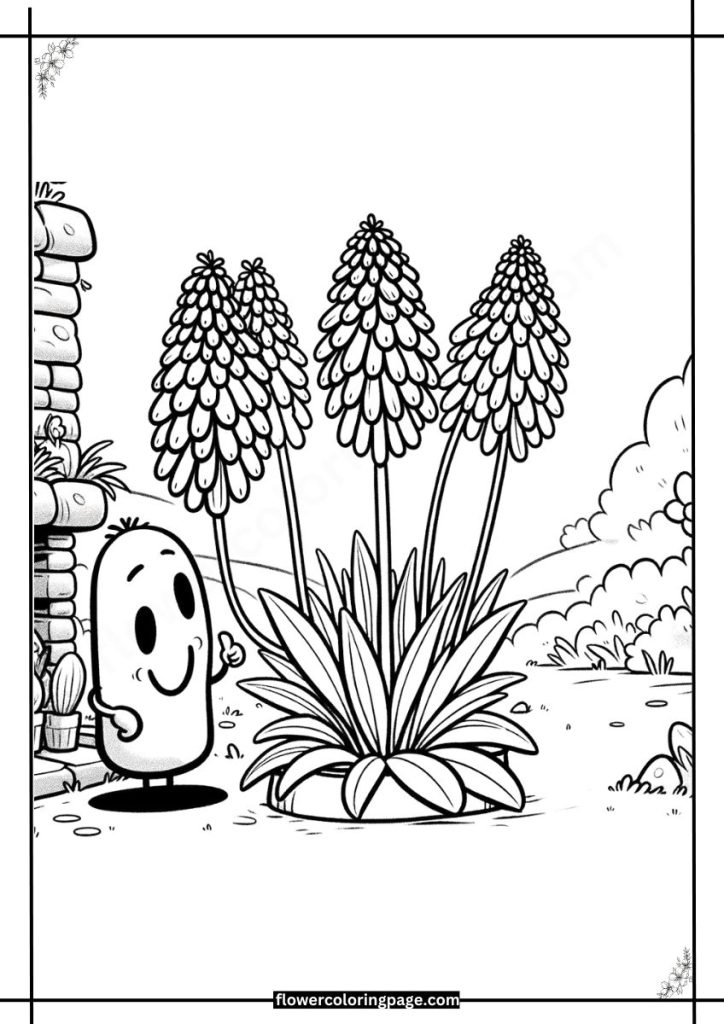 Red Hot Poker Coloring Pages