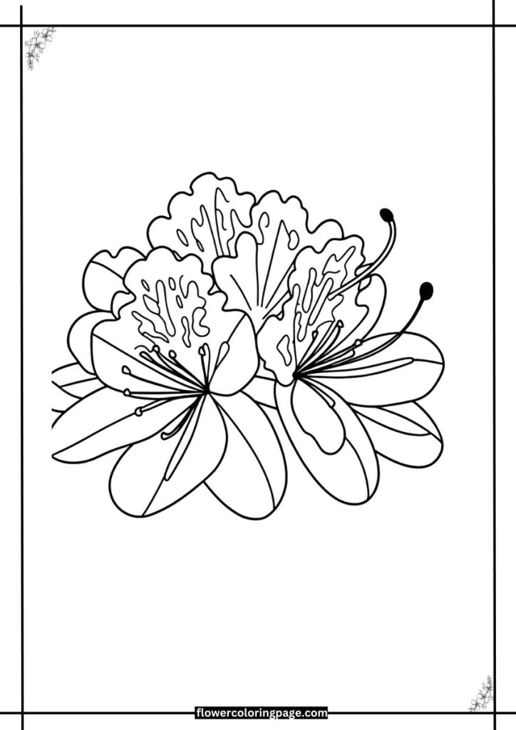 Rhododendron Coloring Pages