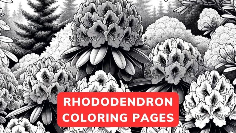 Rhododendron Coloring Pages