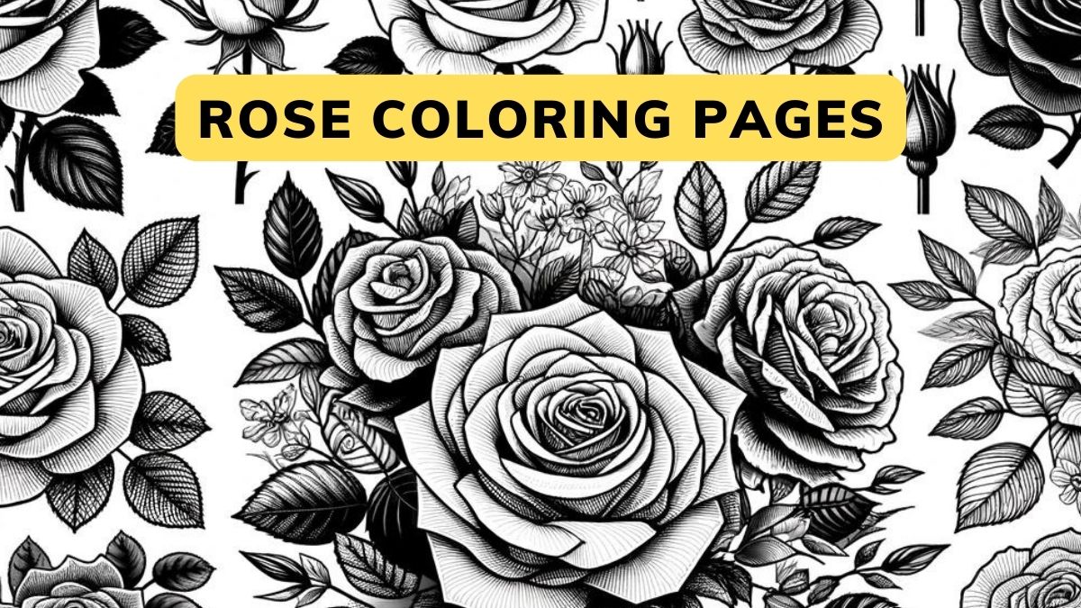 Rose Coloring Pages