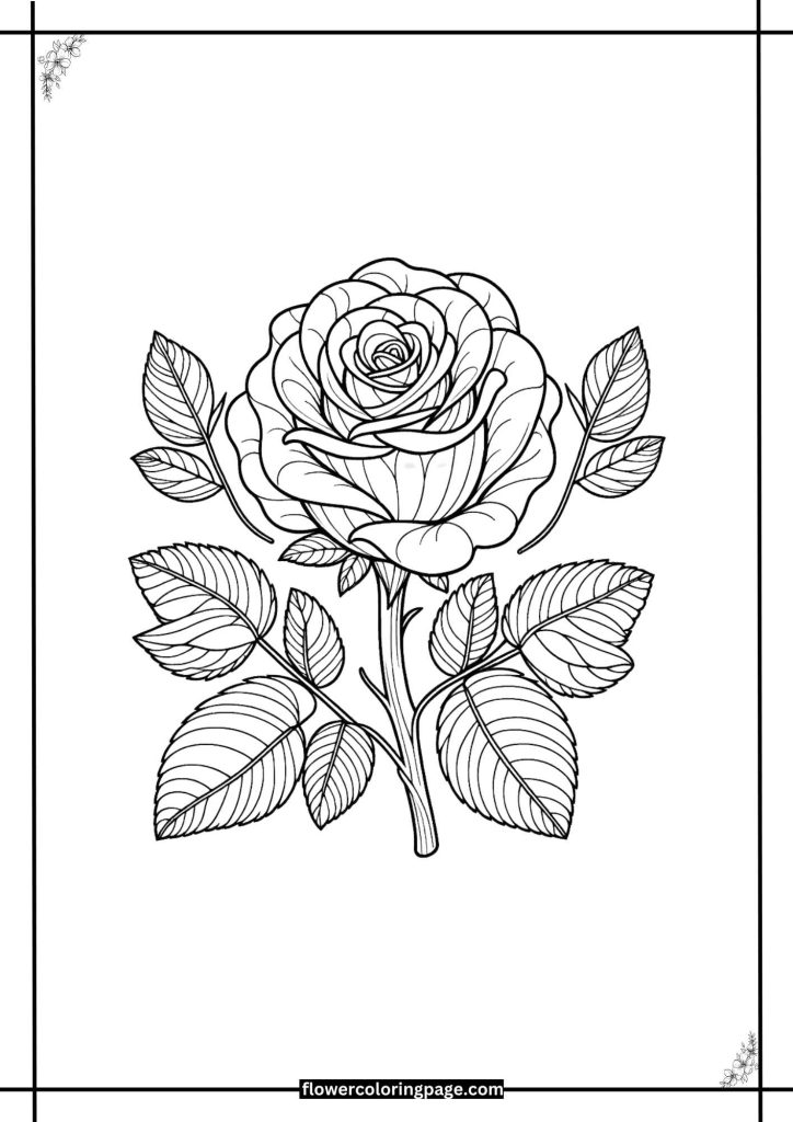 rose coloring pages printable pdf