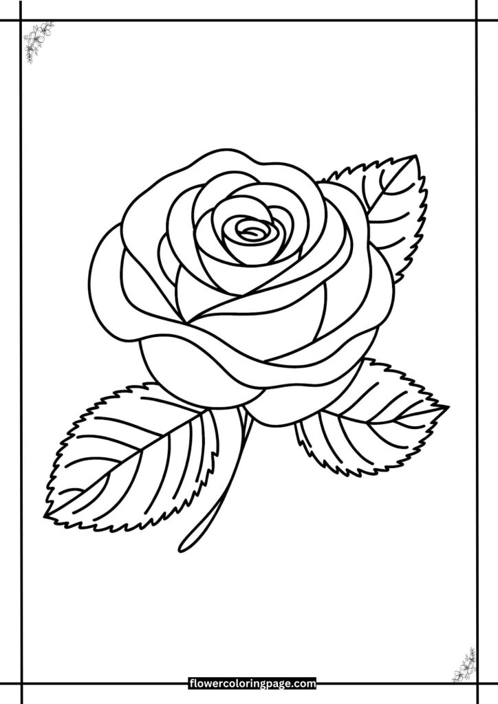 Rose Coloring pages