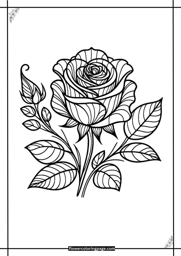 rose coloring pages printables