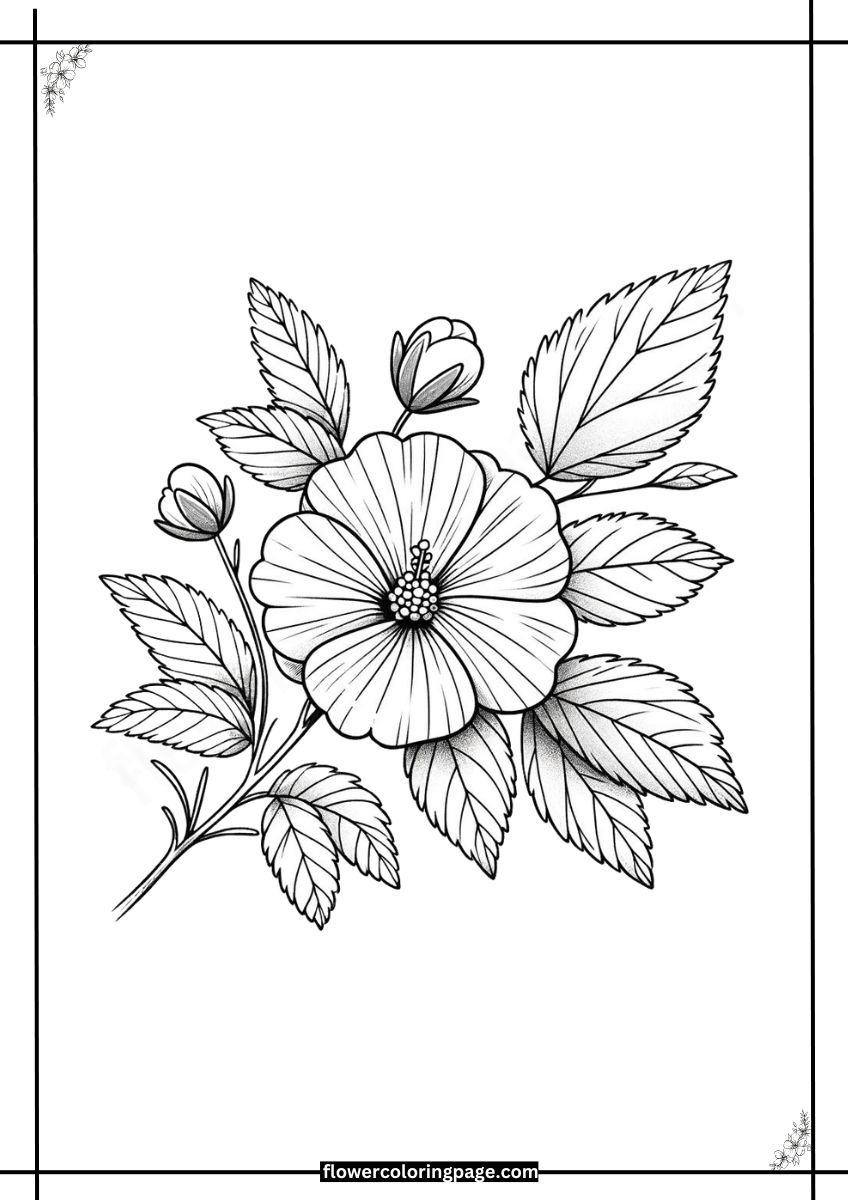 Free Rose of Sharon Coloring Pages Printable PDF - Flower Coloring Page