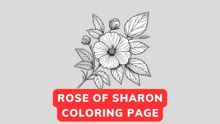 Rose of Sharon coloring page