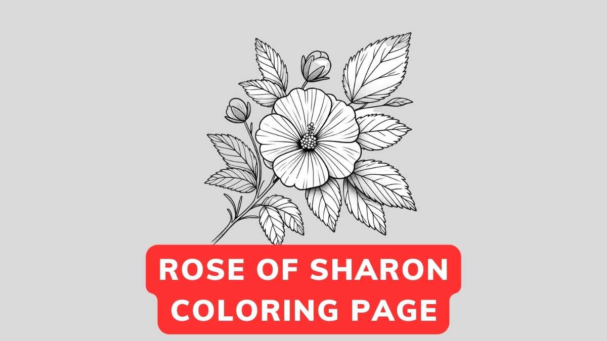 Rose of Sharon coloring page